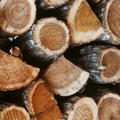 Detailed view of dry Rooikrans firewood logs with natural bark texture
