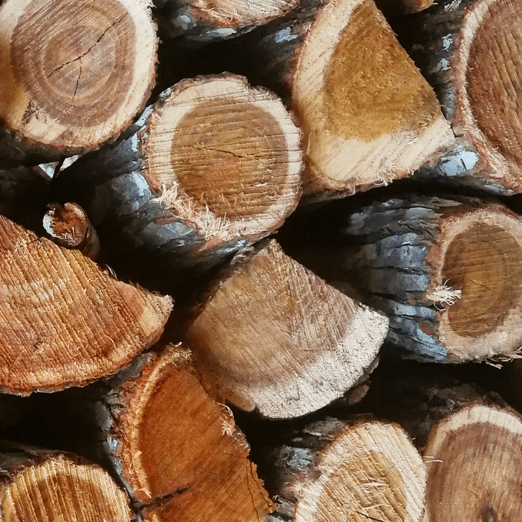 Detailed view of dry Rooikrans firewood logs with natural bark texture