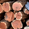 Close-up of dense, Sekelbos firewood bags showing rich grain